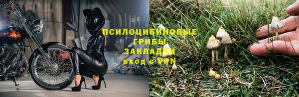 спиды Баксан