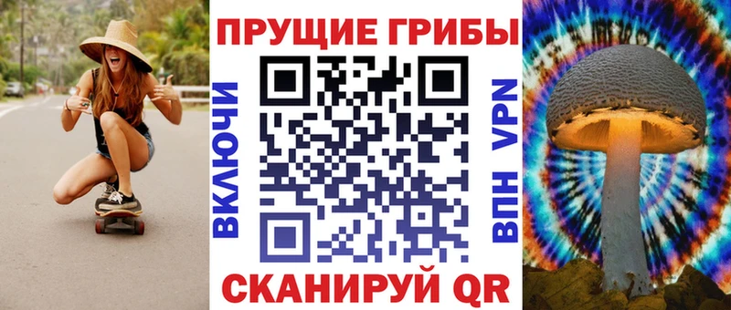 закладки  Строитель  Галлюциногенные грибы Psilocybe 
