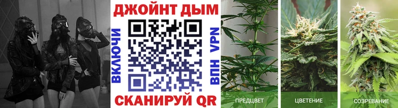 Марихуана Bruce Banner  kraken ссылки  Строитель 